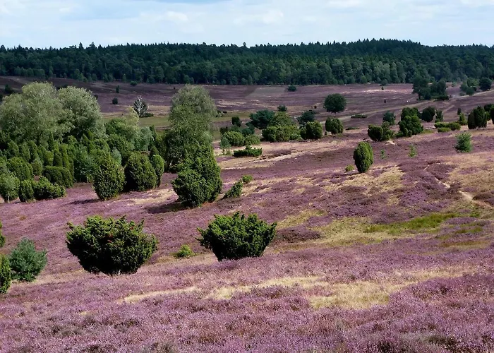 Hygge Homes - 'lilla Lycka' Апартаменты *